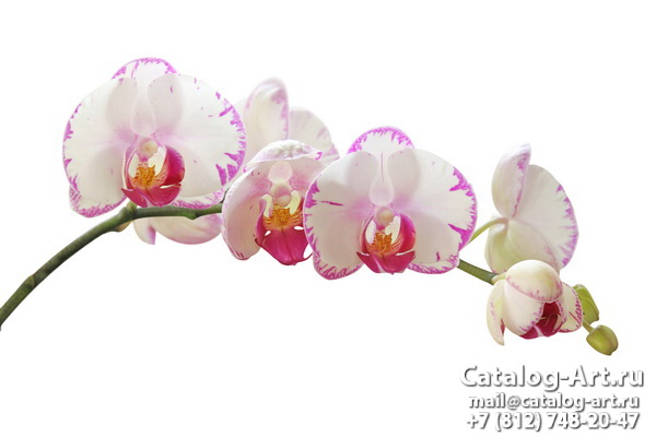 Натяжные потолки с фотопечатью - Розовые орхидеи 29